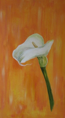 Calla