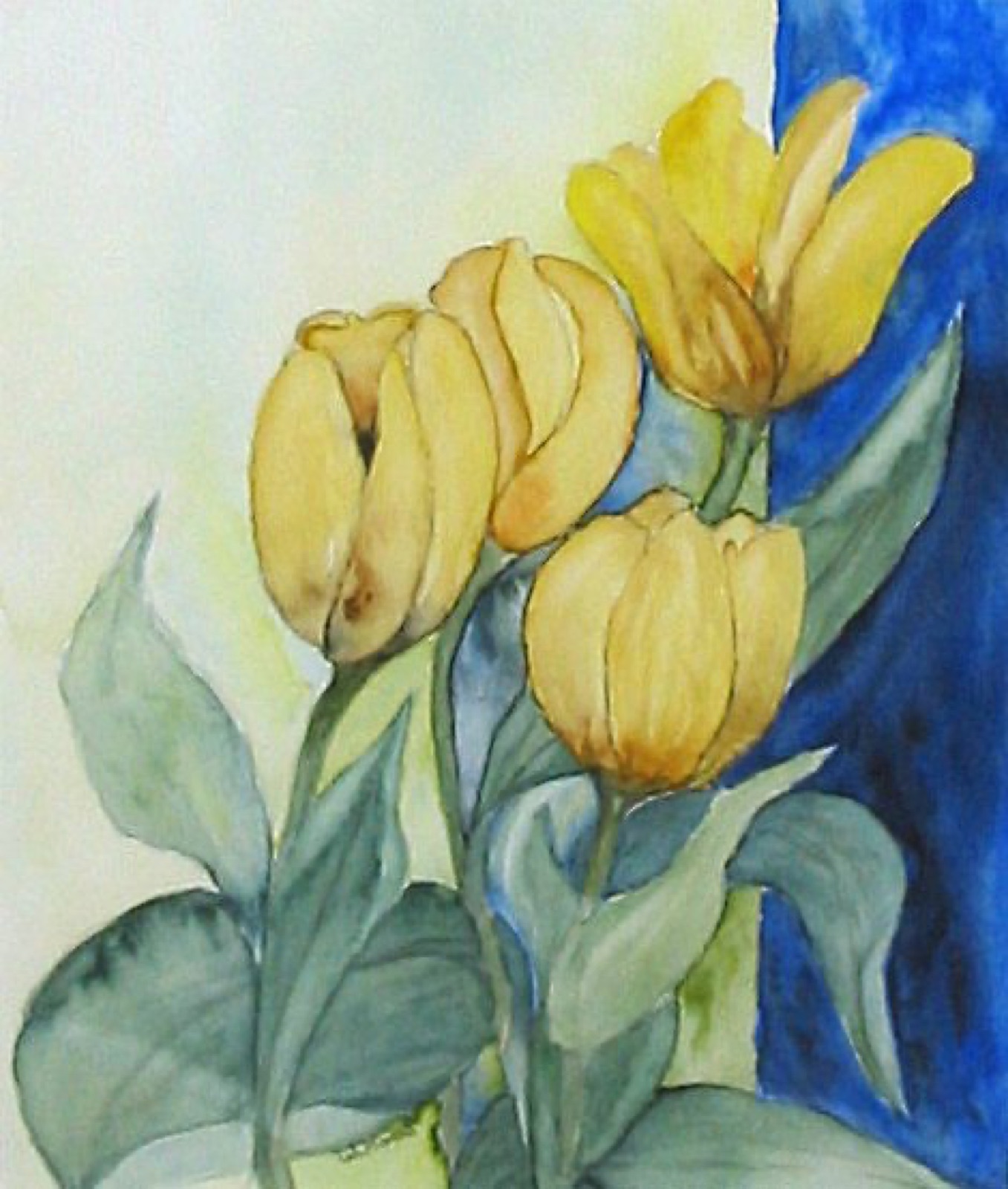 Gelbe Tulpen vor blauer Wand