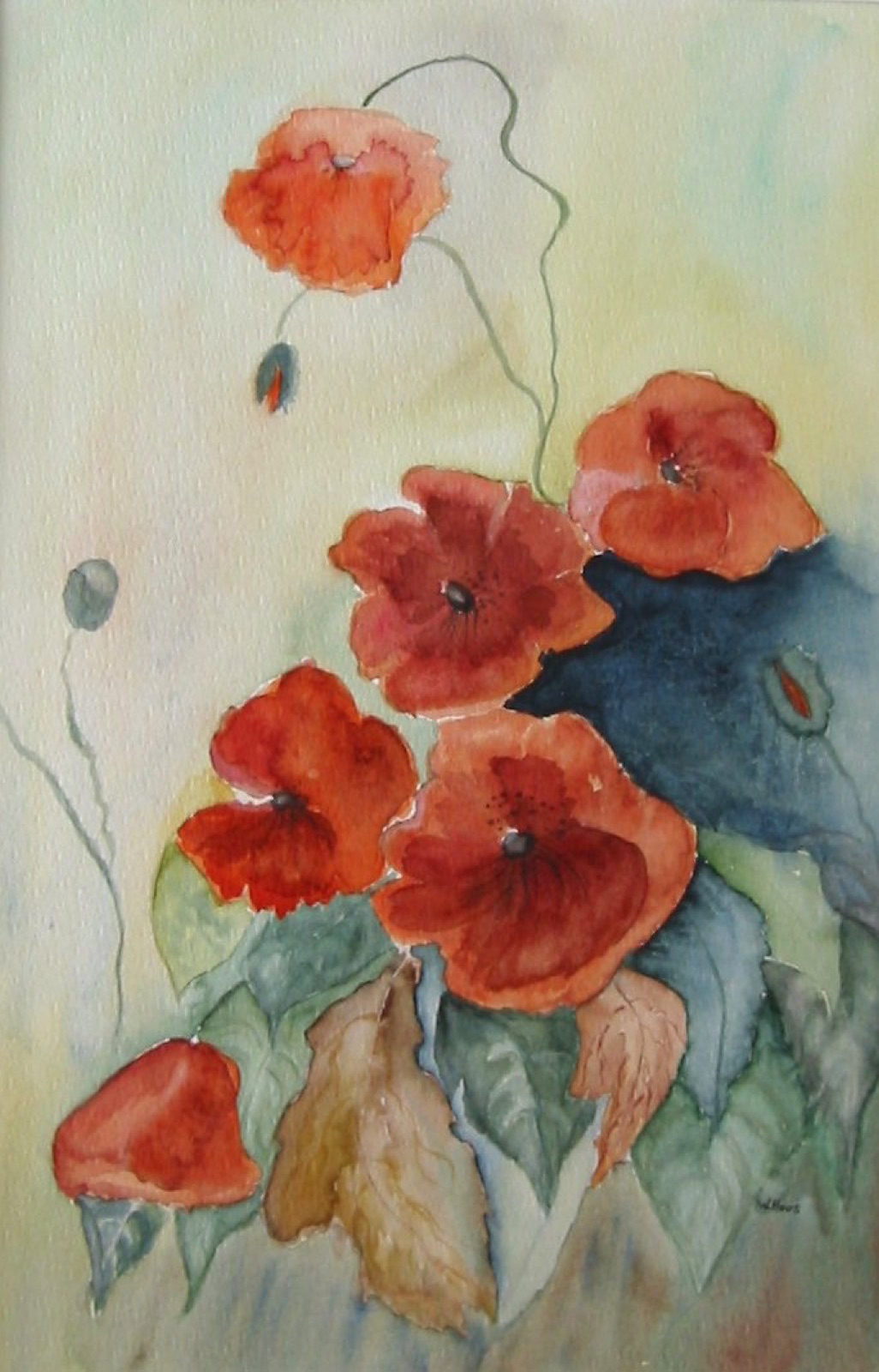 Mohn
