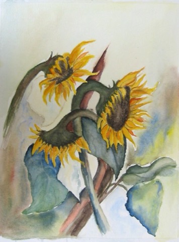 Sonnenblumen
