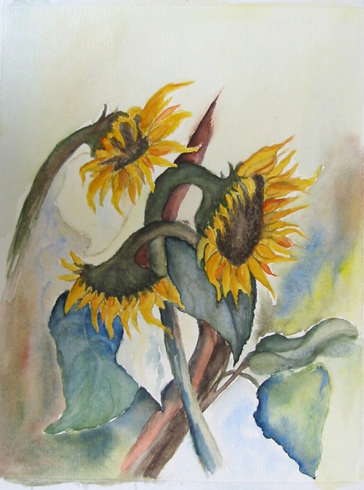 Sonnenblumen