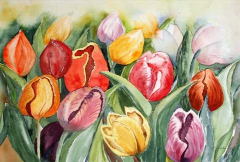 Tulpenfeld