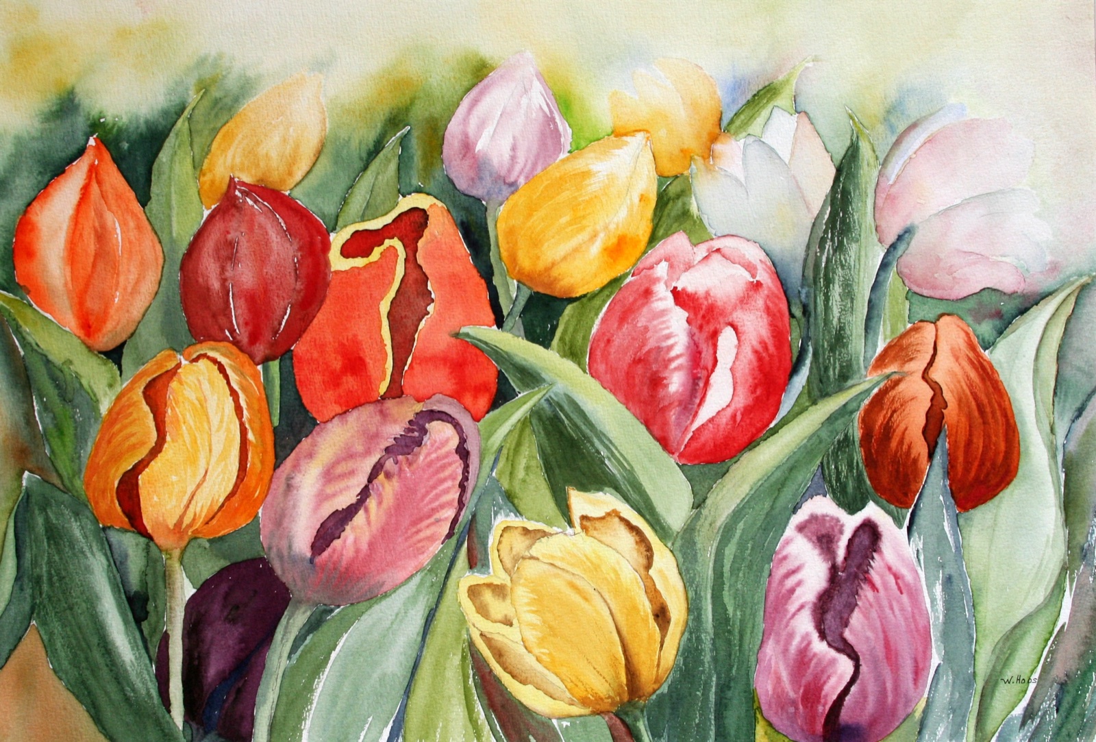 Tulpenfeld